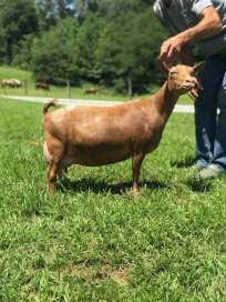 40390530_2195732450456833_4520607757992198144_n