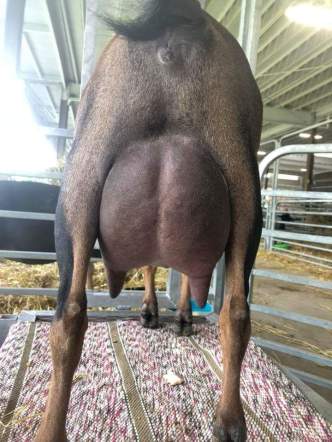 FB_IMG_1535463107028