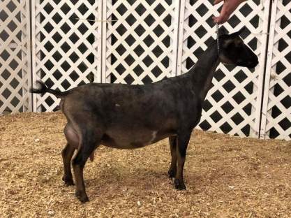 FB_IMG_1535463117458