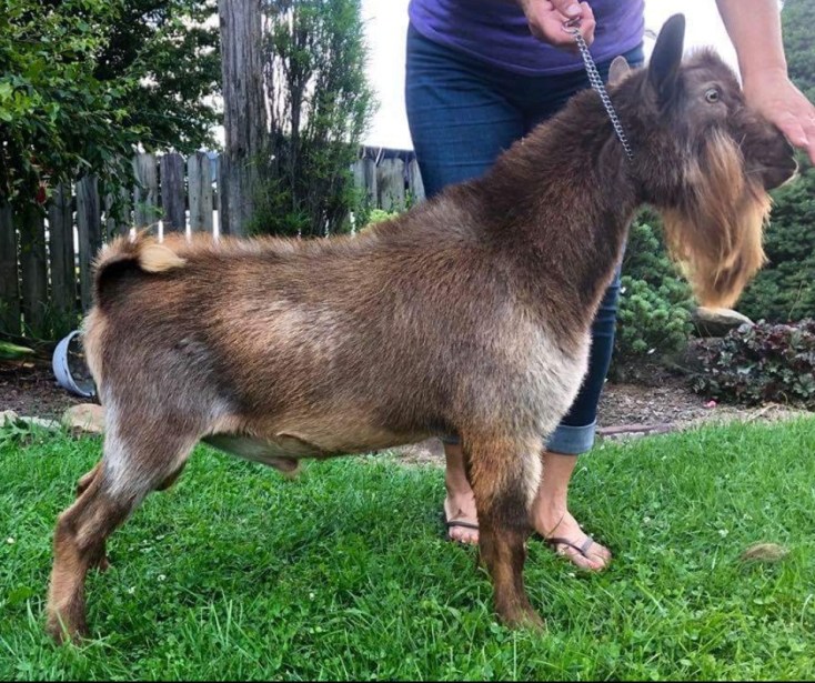 Screenshot_20180824-124157_Facebook