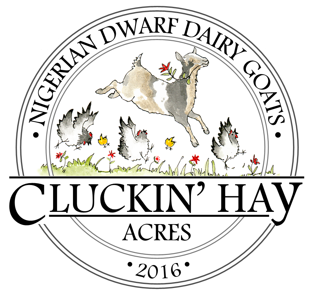 Cluckin' Hay Acres